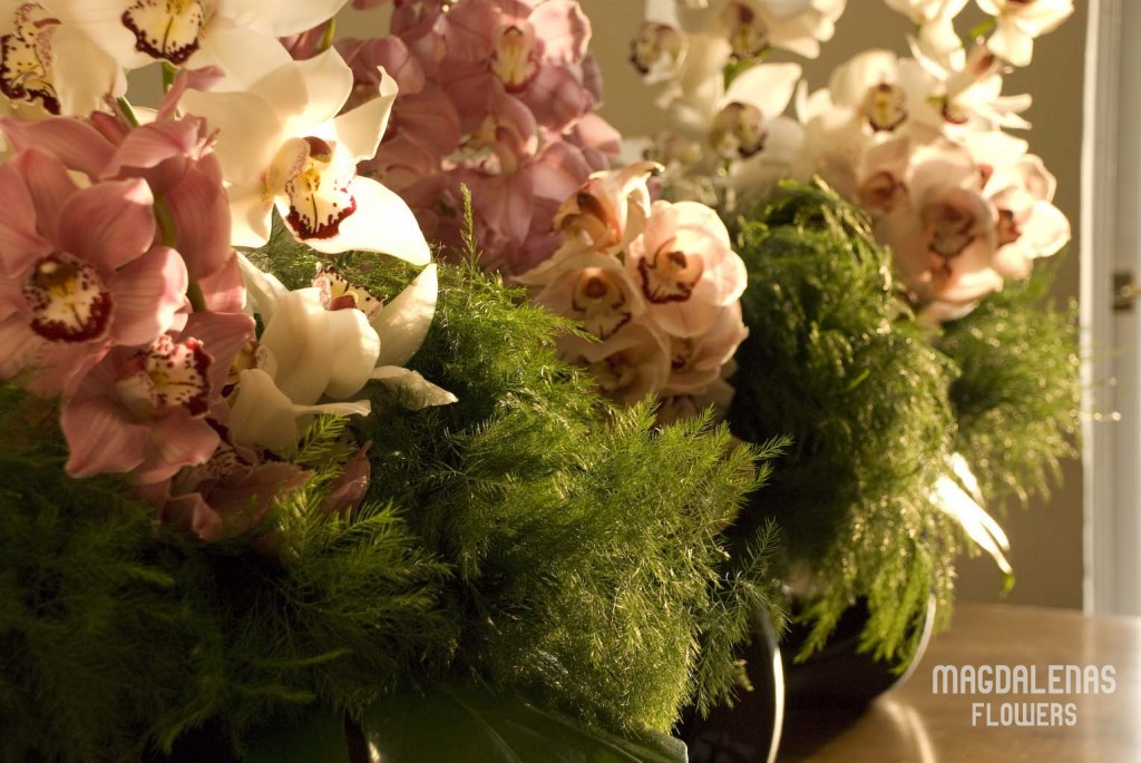 DSC_0128