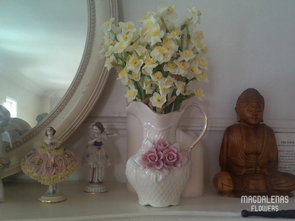 fragrant narcissus